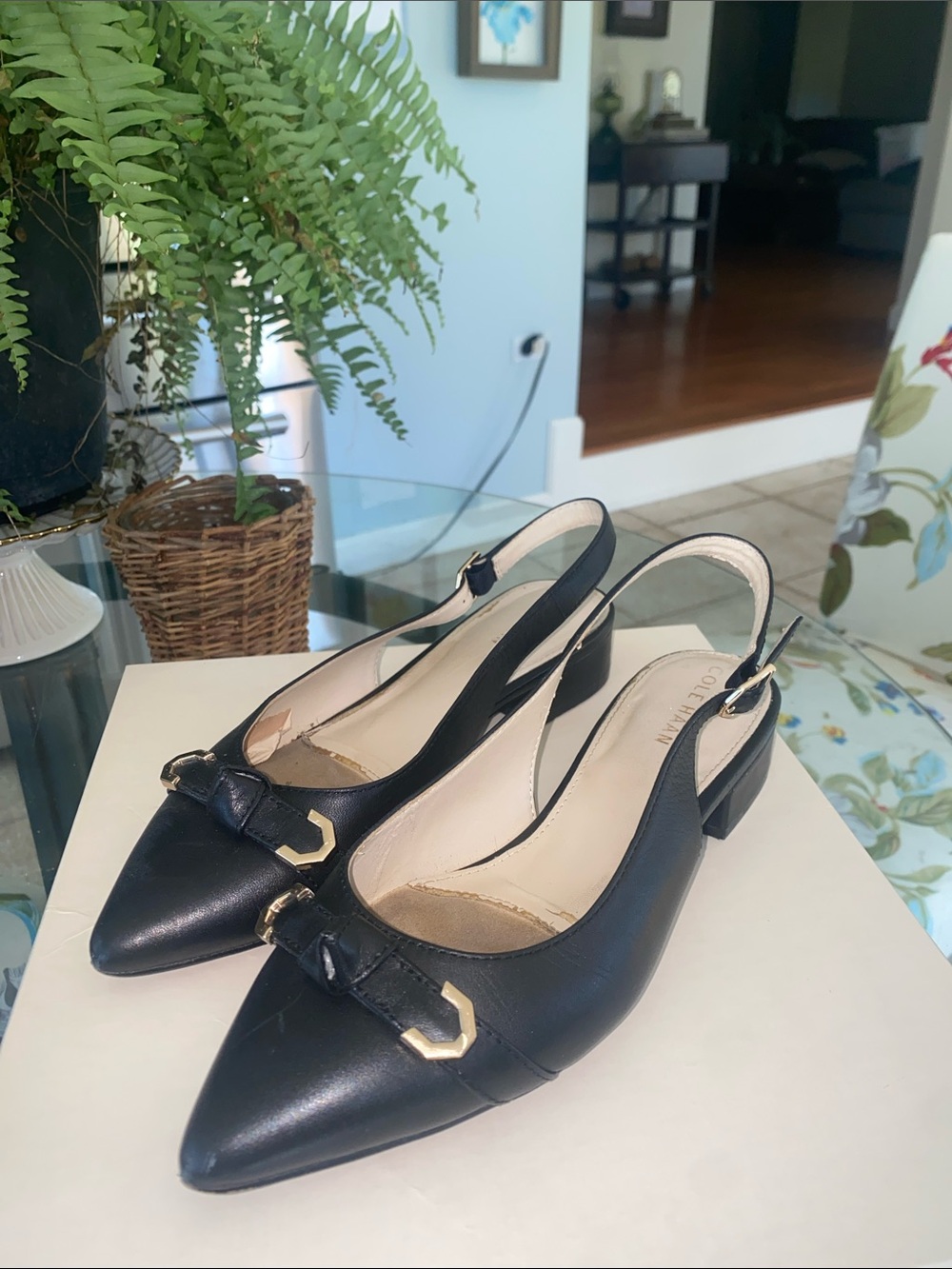 Cole Haan Black Pointed-Toe Slingback Flats with Gold Buckle
